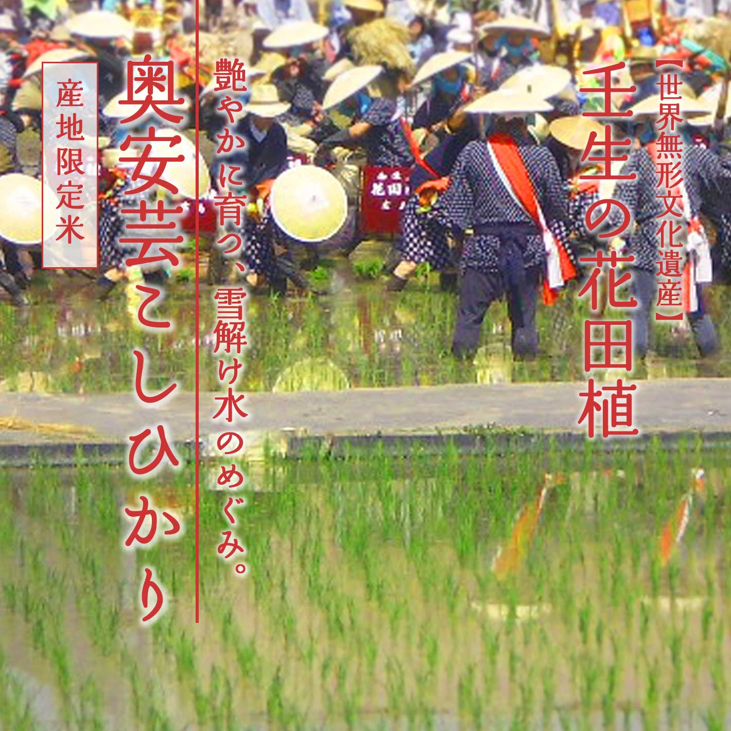 壬生の花田植 奥安芸こしひかり お米のカツヤ